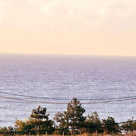 Please Vip * Costinești