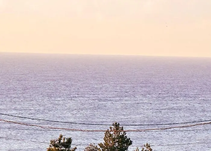 Please Vip * Costinesti